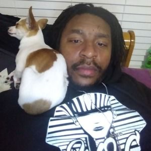 Meet your Posher, Donald